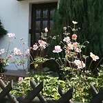Passat Ferienwohnung